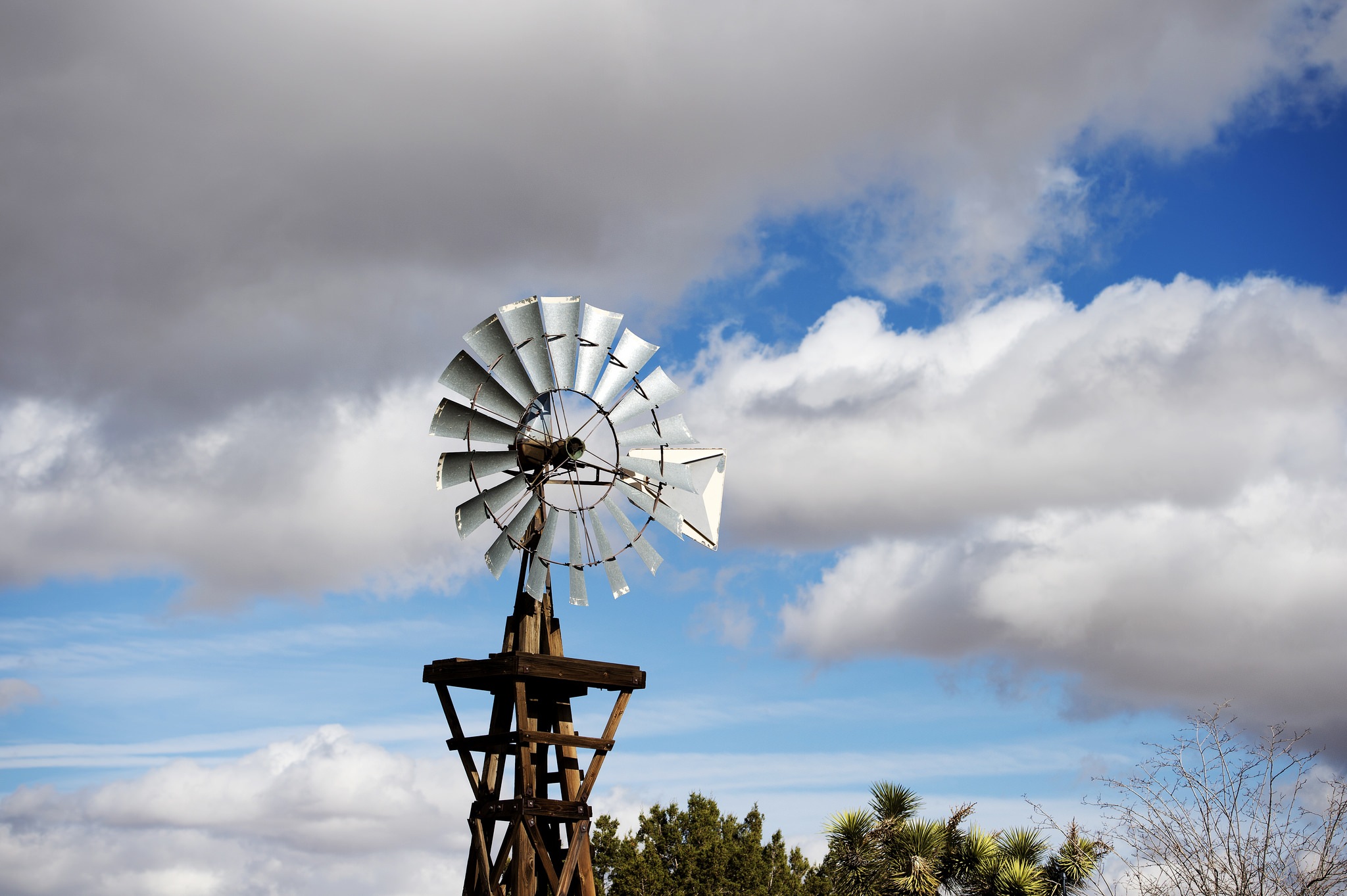 Windmill Ornamental