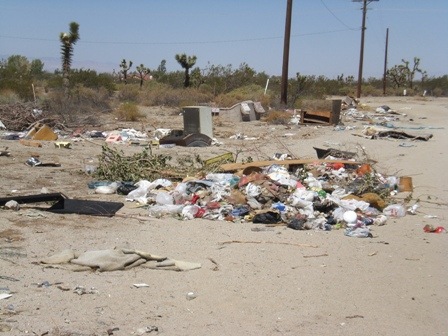 Barger calls for action on illegal dumping