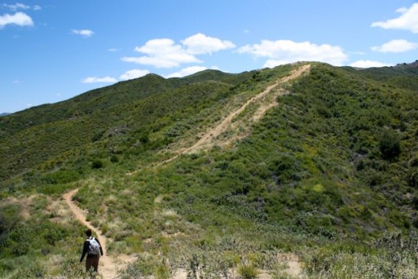 Major repairs approved for fire-damaged Canyon Trail at Placerita Canyon Natural Area