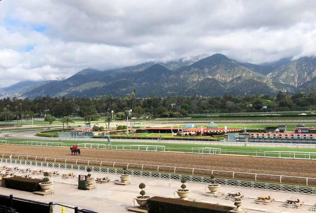 Motion offers county support for ending horse fatalities at Santa Anita Park
