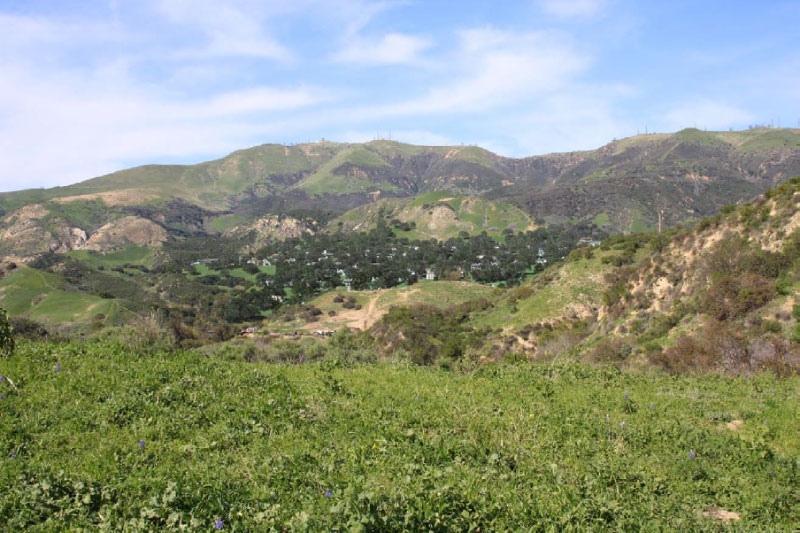 Hidden Creeks property permanently preserved as open space