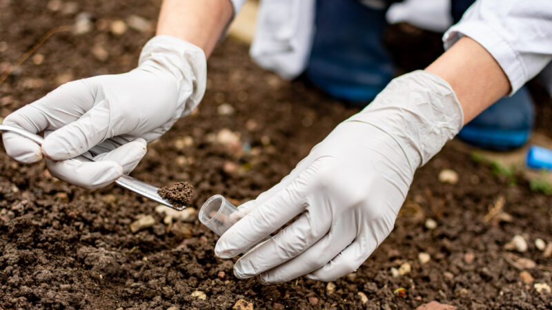 Researcher collecting soil sample in a test tube
