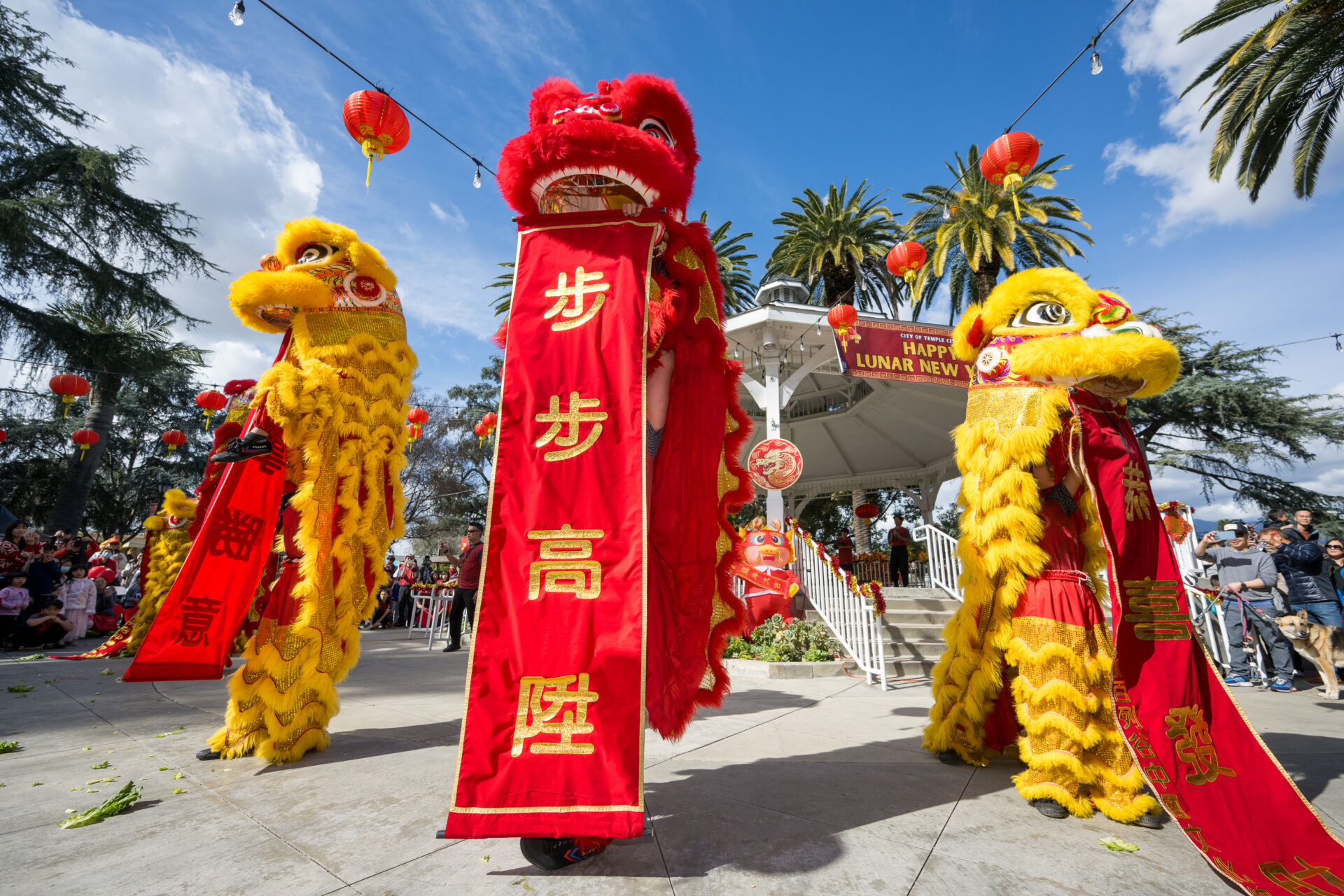 Traditional dragon dancers perform during a Lunar New Year celebration.